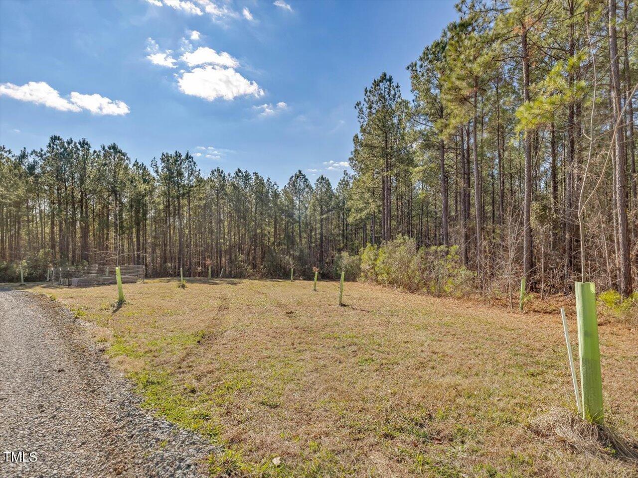 406 Gum Springs Church Road Moncure, NC 27559 - Photo 66 of 100 068-Fruit Trees