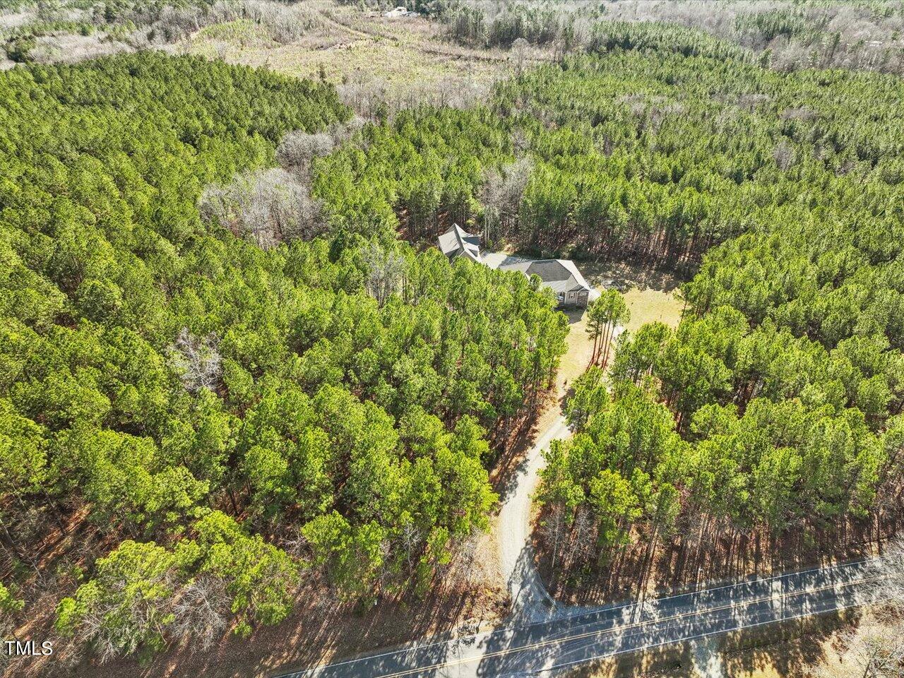 406 Gum Springs Church Road Moncure, NC 27559 - Photo 77 of 100 a view of a forest with a tree