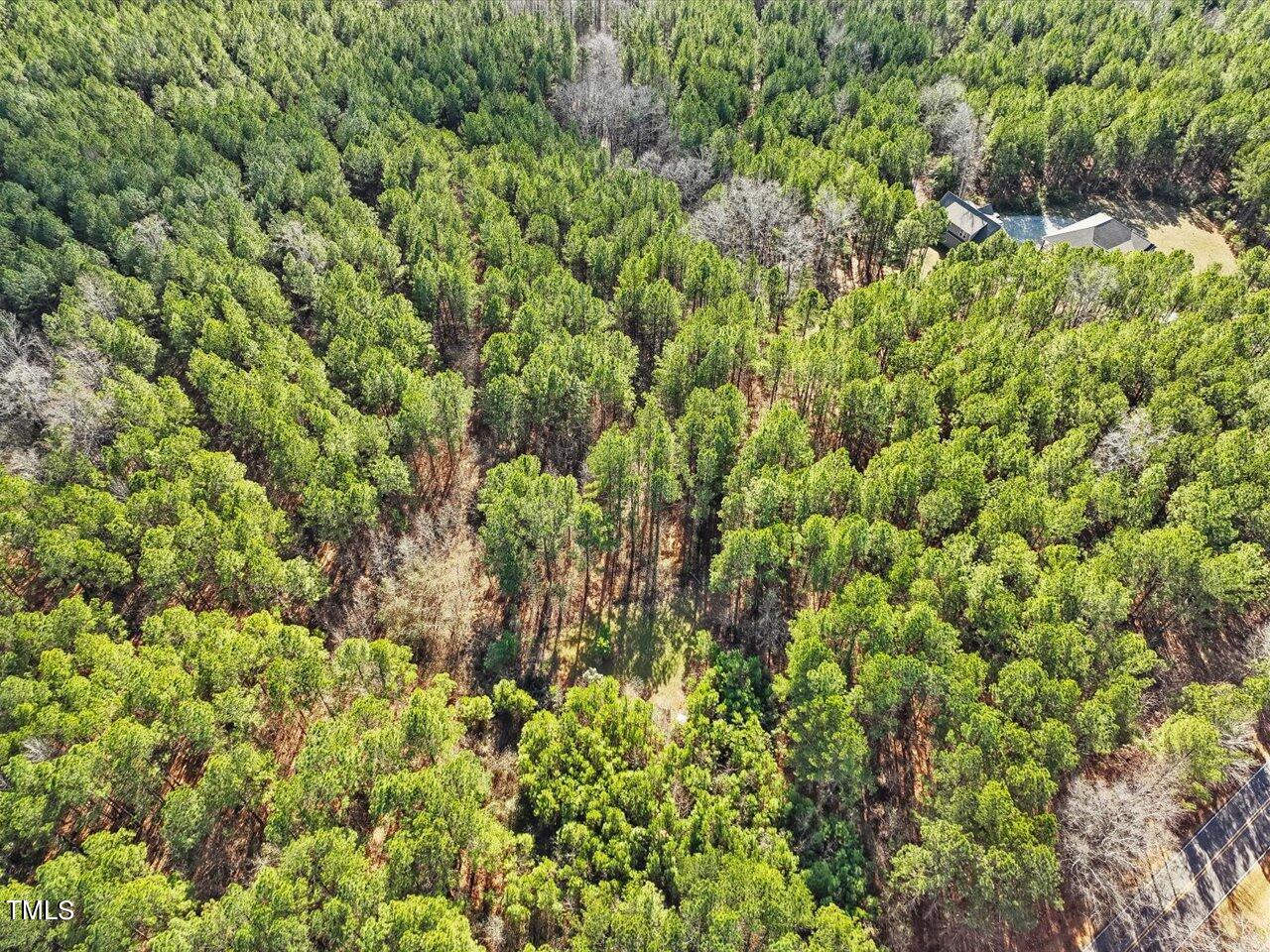 406 Gum Springs Church Road Moncure, NC 27559 - Photo 82 of 100 090-24.3 Acres