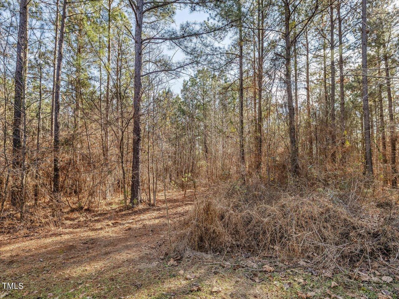 406 Gum Springs Church Road Moncure, NC 27559 - Photo 83 of 100 091-Trails throughout Land