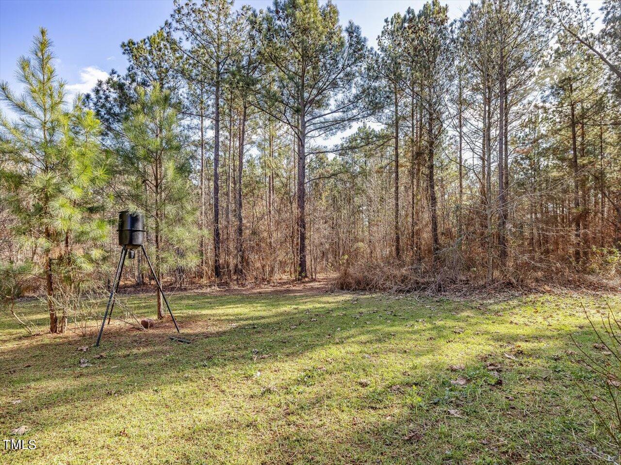 406 Gum Springs Church Road Moncure, NC 27559 - Photo 84 of 100 092-with Clearings