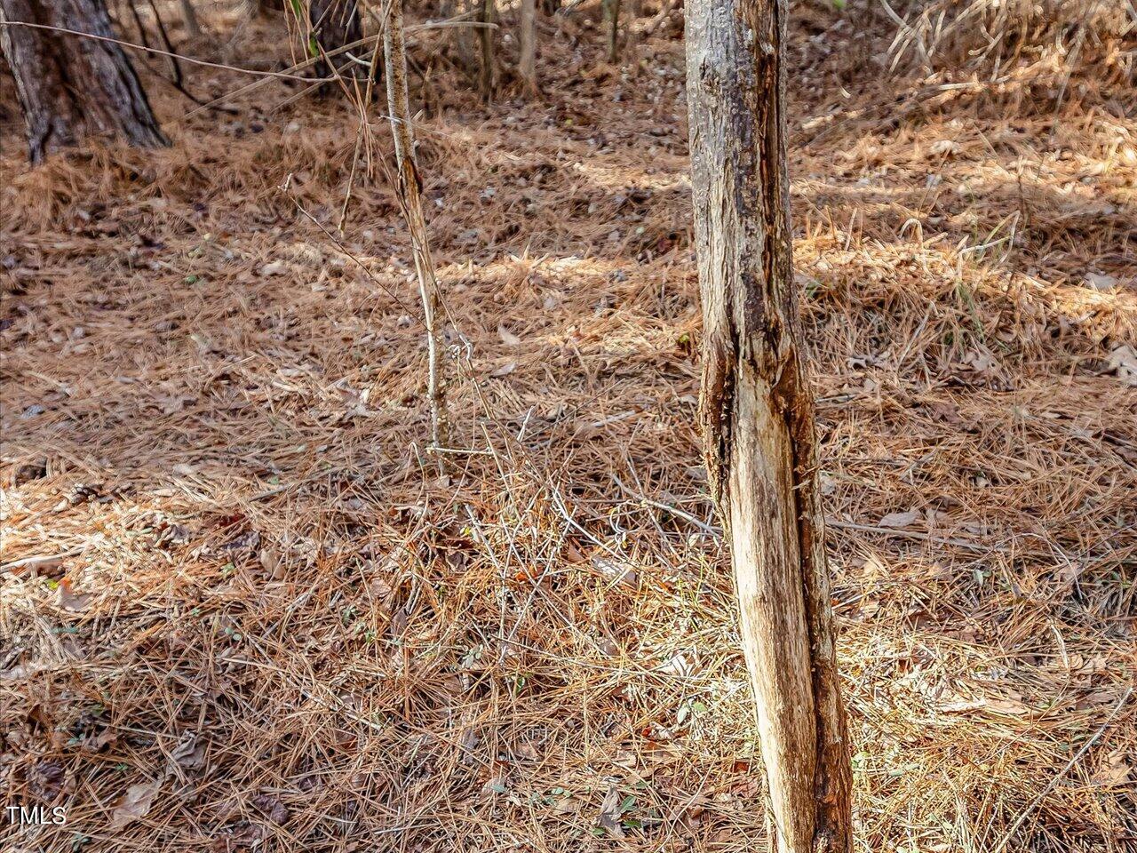 406 Gum Springs Church Road Moncure, NC 27559 - Photo 85 of 100 093-24.3 Acres