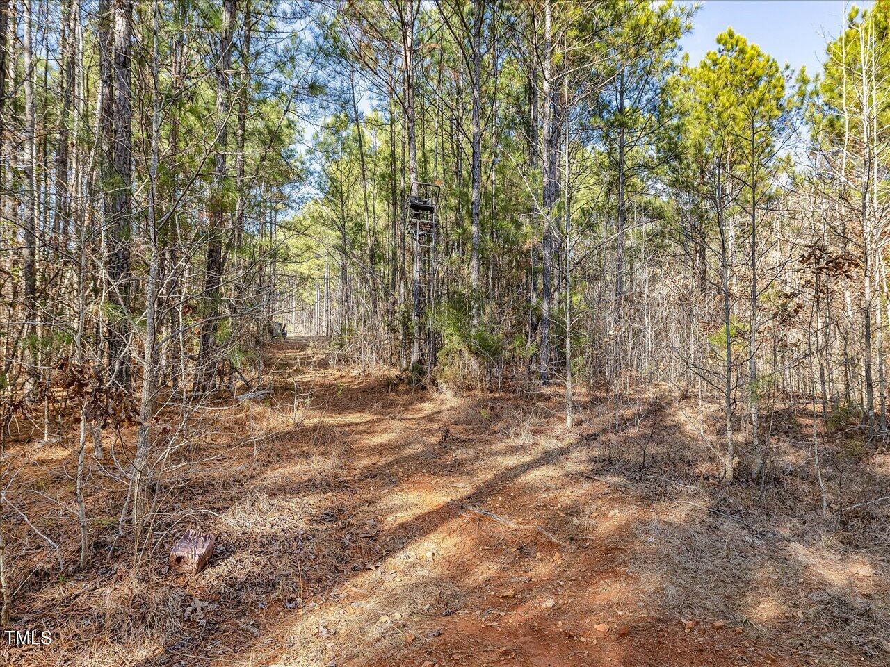 406 Gum Springs Church Road Moncure, NC 27559 - Photo 86 of 100 094-Trails