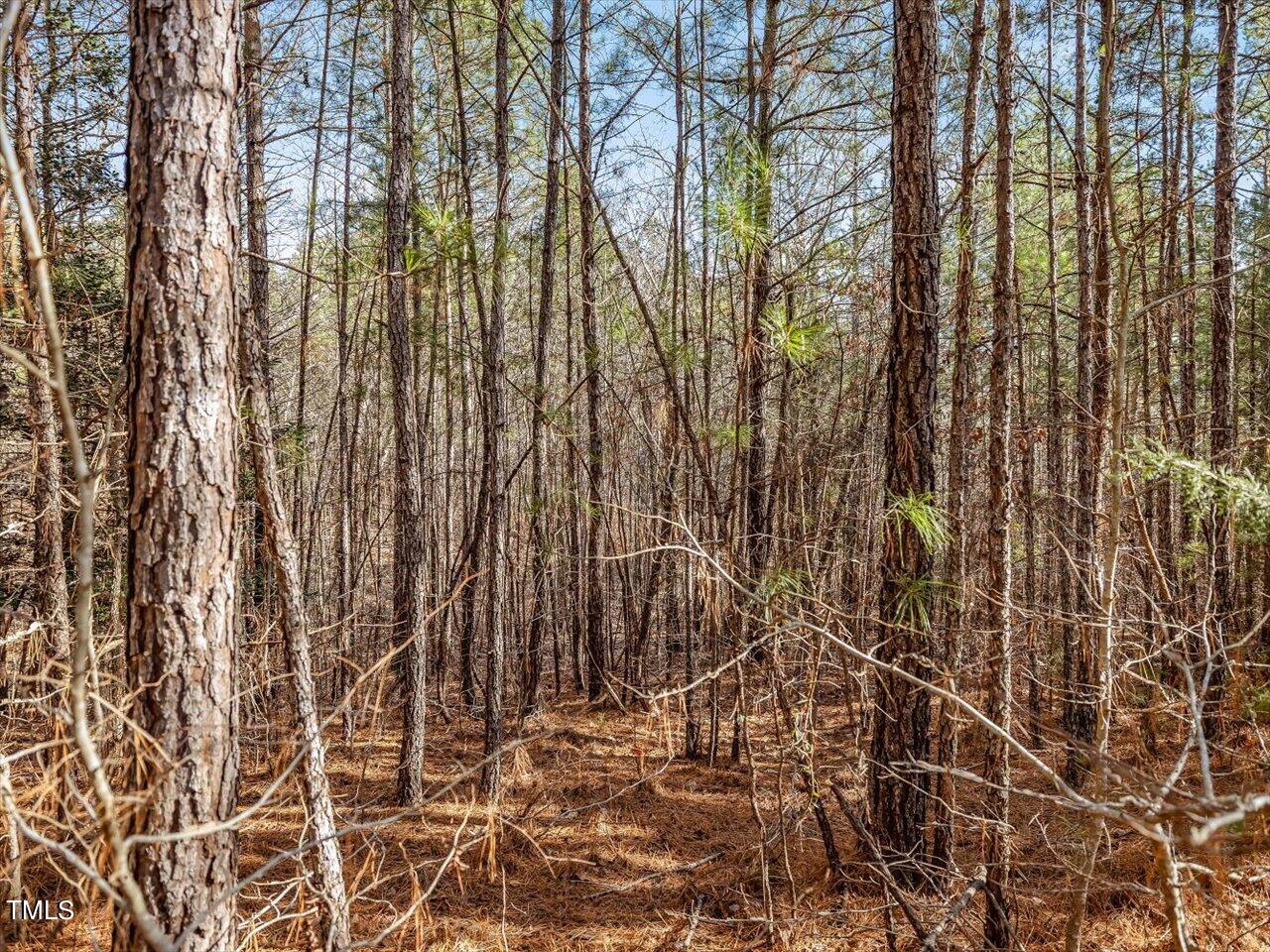 406 Gum Springs Church Road Moncure, NC 27559 - Photo 87 of 100 095-Wooded