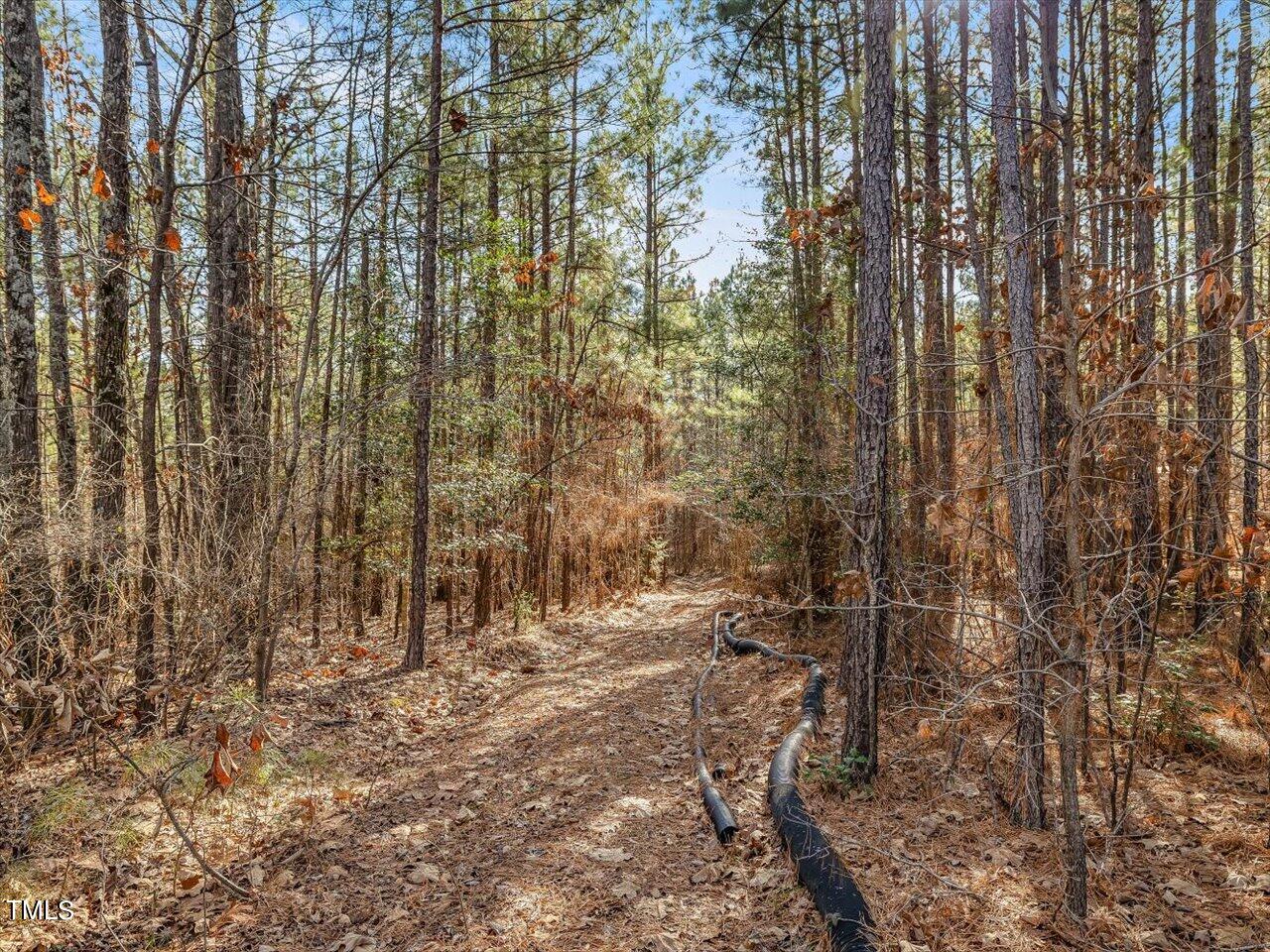 406 Gum Springs Church Road Moncure, NC 27559 - Photo 88 of 100 096-Trails