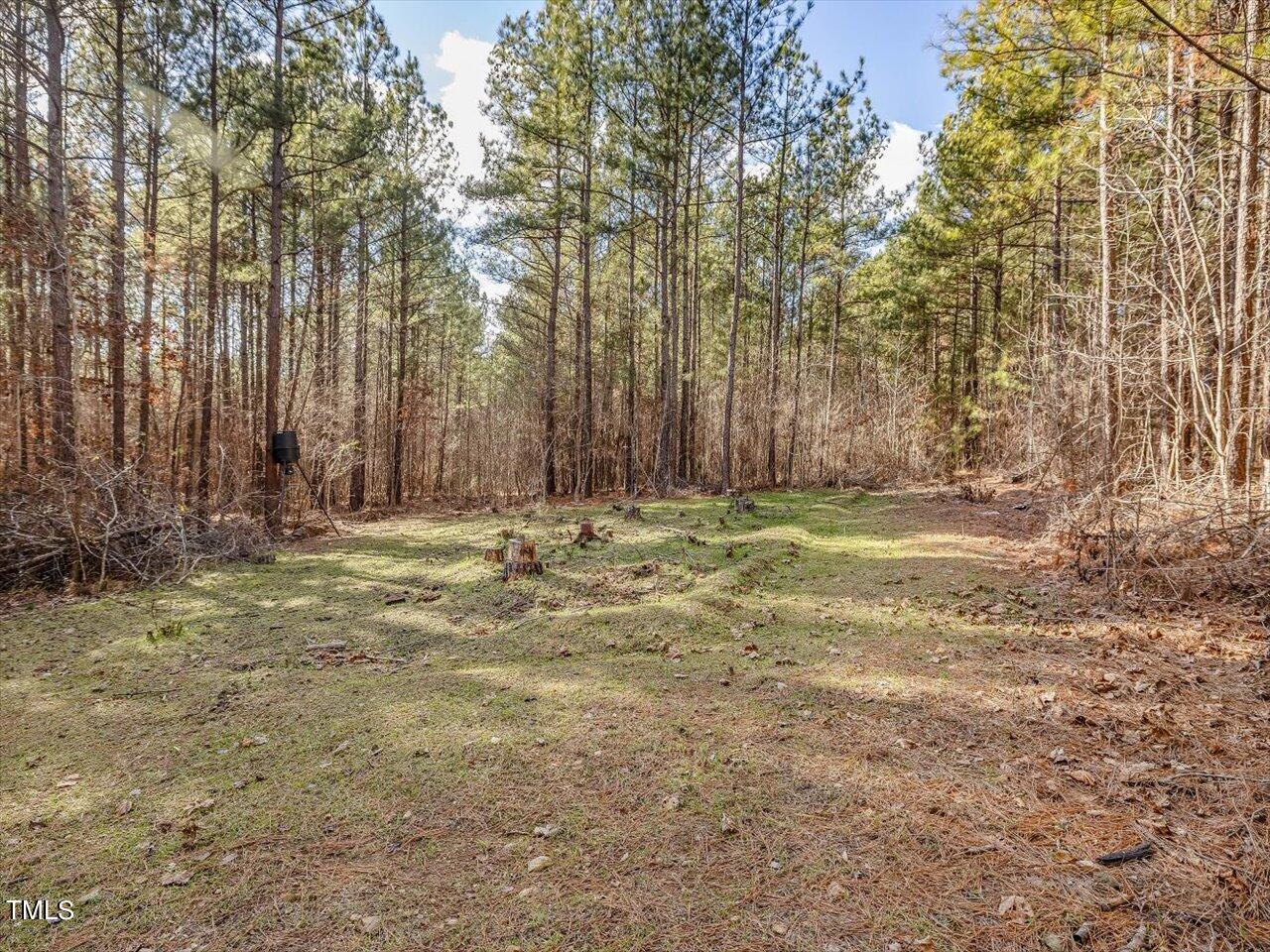 406 Gum Springs Church Road Moncure, NC 27559 - Photo 89 of 100 a view of outdoor space with trees