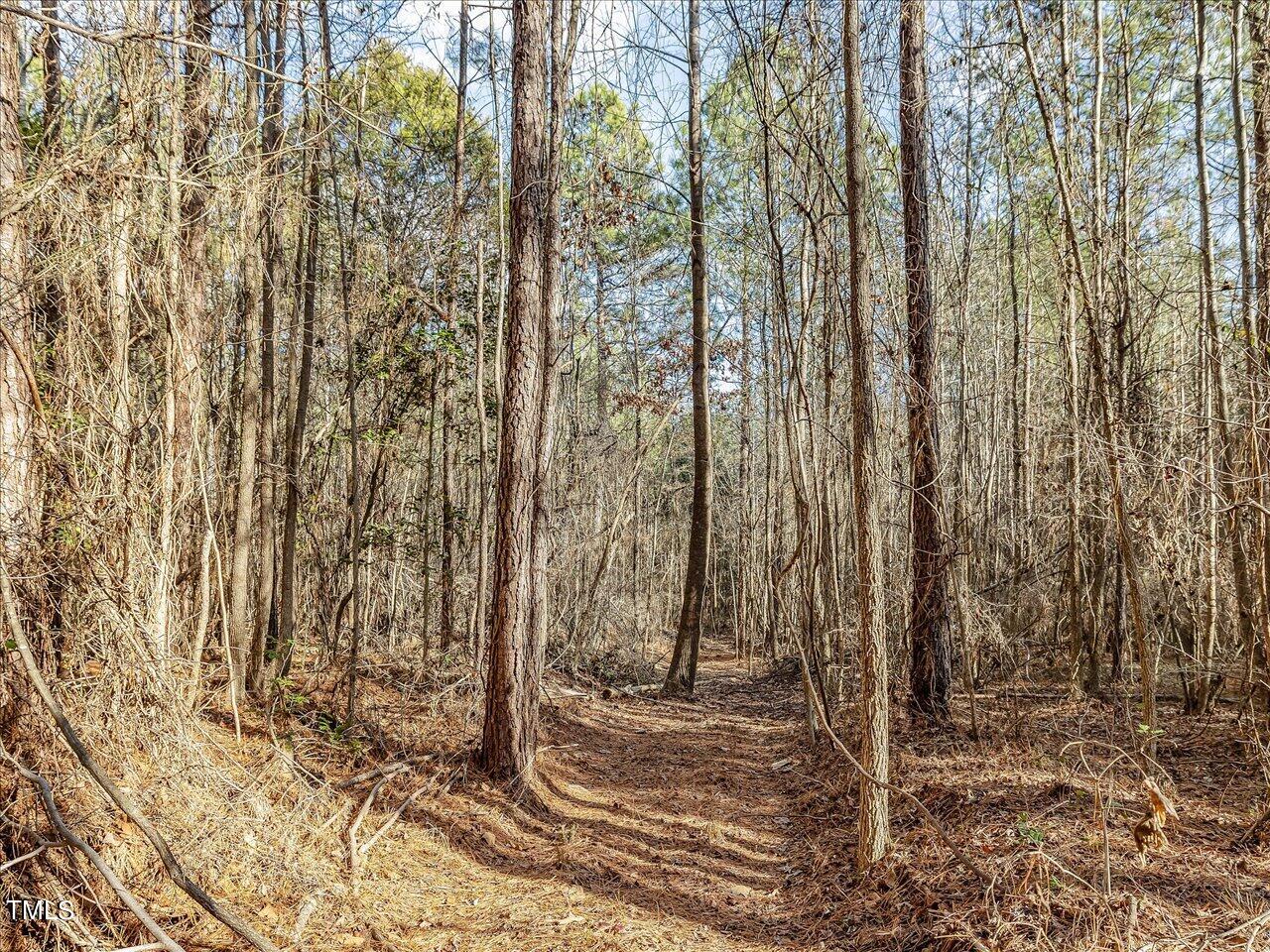 406 Gum Springs Church Road Moncure, NC 27559 - Photo 90 of 100 098-Trail