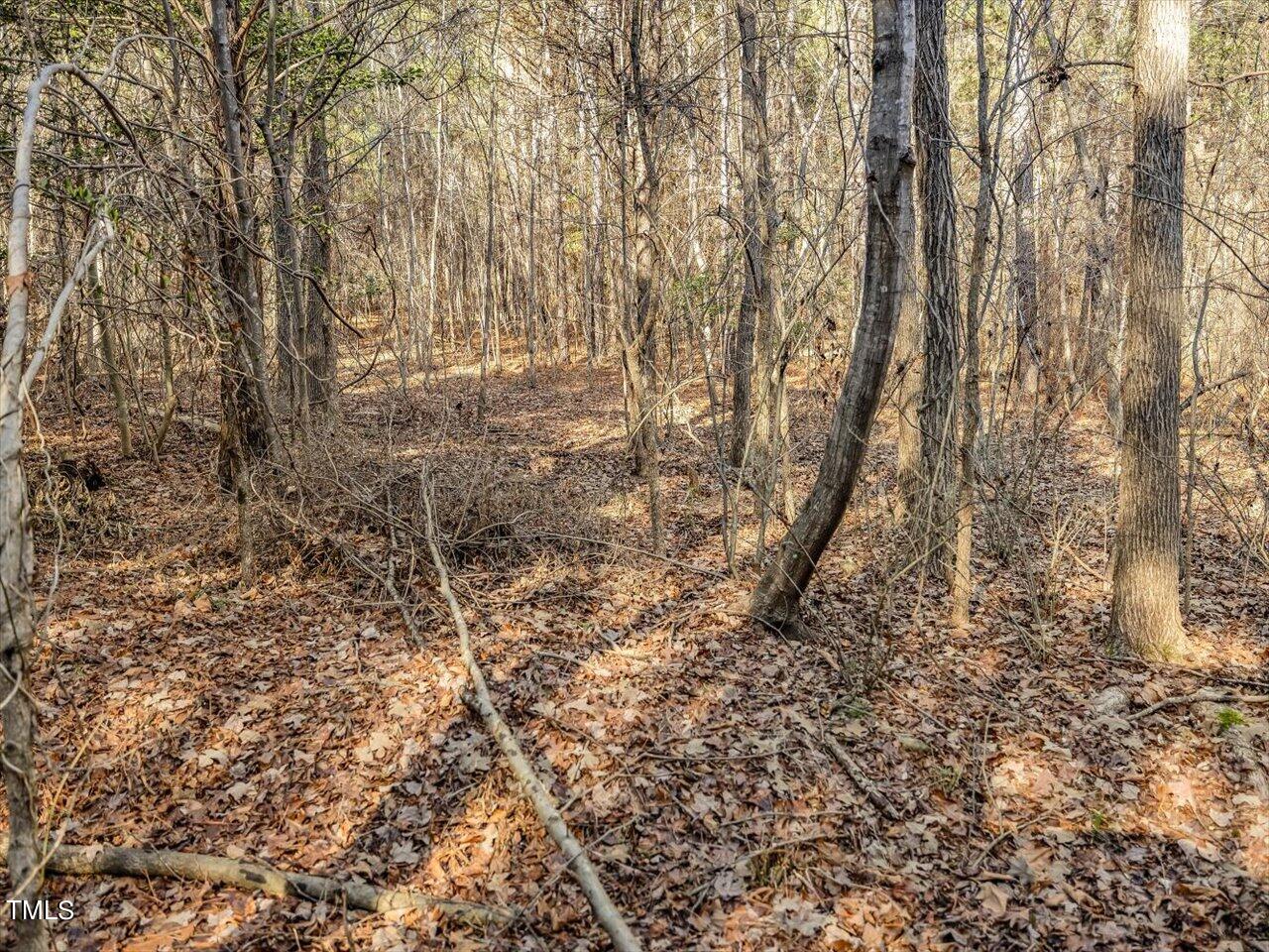 406 Gum Springs Church Road Moncure, NC 27559 - Photo 91 of 100 099-Wooded