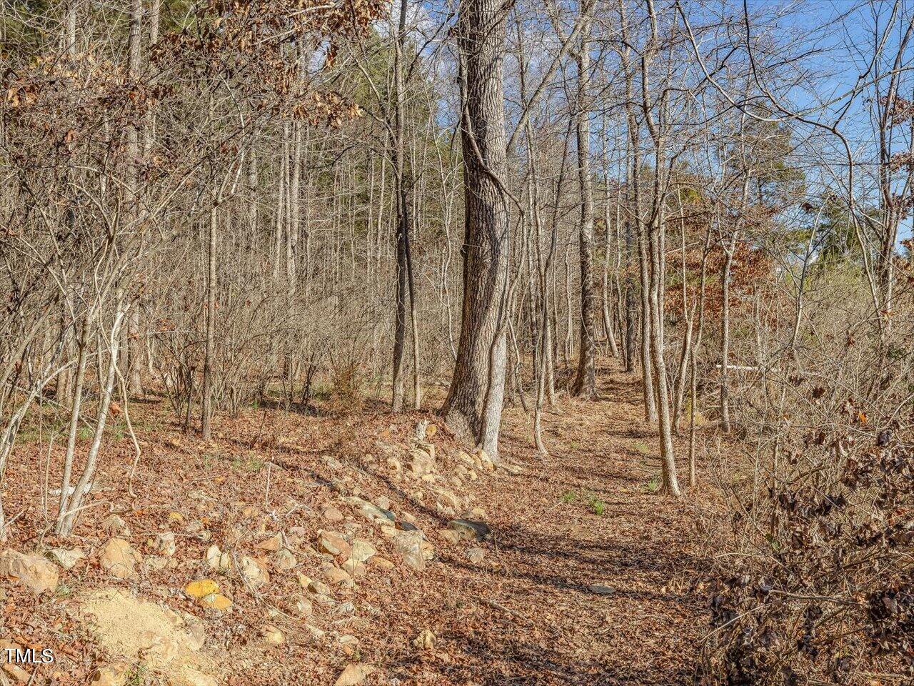 406 Gum Springs Church Road Moncure, NC 27559 - Photo 92 of 100 100-Trails