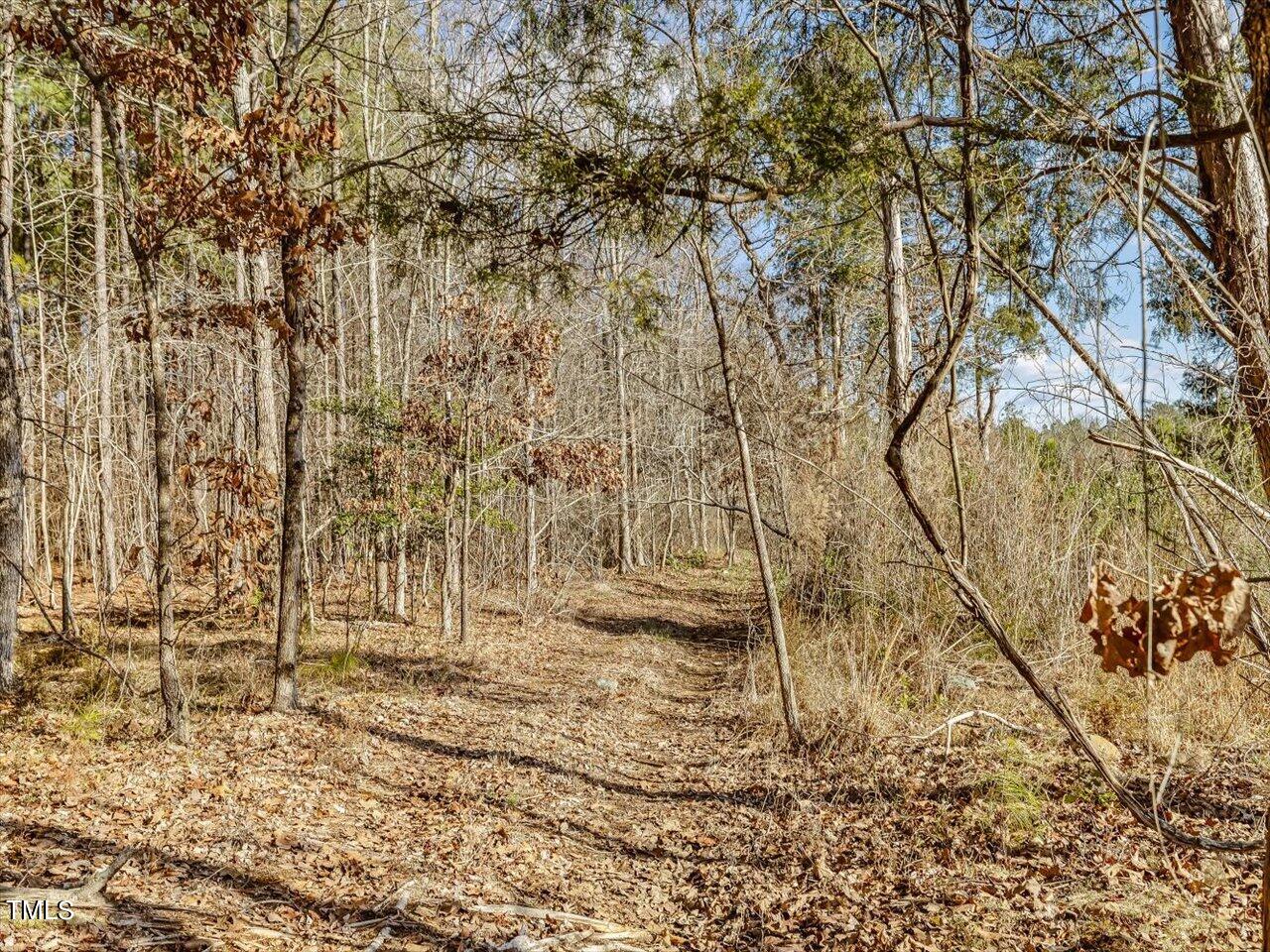 406 Gum Springs Church Road Moncure, NC 27559 - Photo 93 of 100 101-Trails