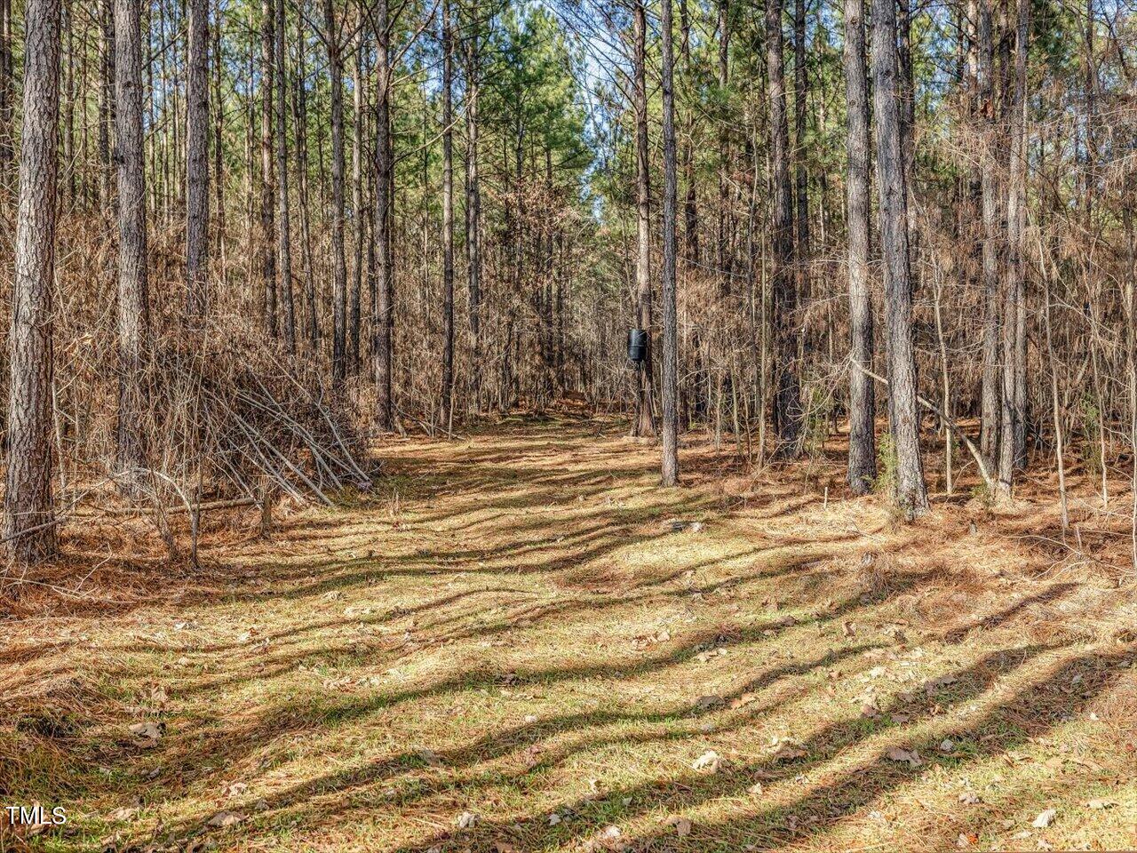 406 Gum Springs Church Road Moncure, NC 27559 - Photo 94 of 100 102-Clearing