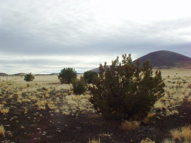 42 Northwest Alpine Ranch Flagstaff, AZ 86004 - Photo 2 of 4 Additional Photo