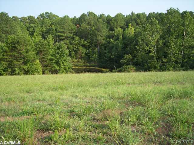 0 Wightman Road Chase City, VA 23924 - Photo 3 of 5 a view of garden with trees