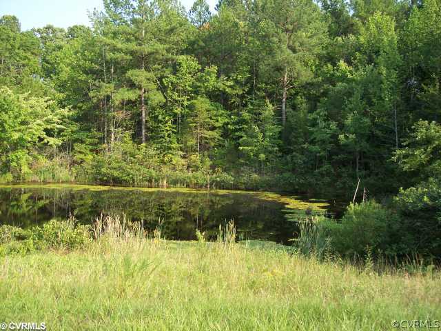 0 Wightman Road Chase City, VA 23924 - Photo 4 of 5 a view of a lake view with a garden