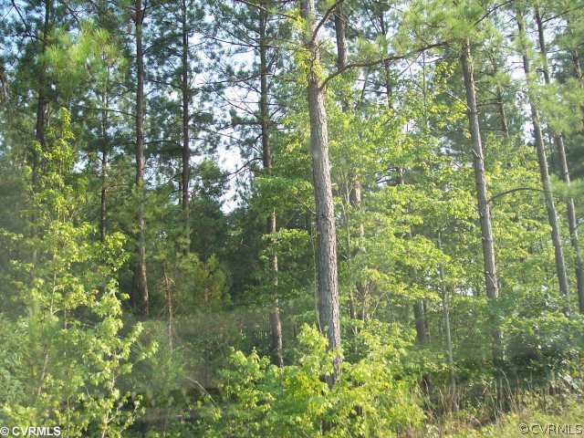 0 Wightman Road Chase City, VA 23924 - Photo 5 of 5 a view of a garden from a building