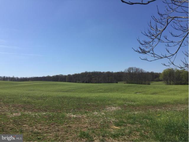 Line Drive White Post, VA 22663 - Photo 1 of 10 Exterior (General)