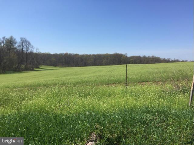 Line Drive White Post, VA 22663 - Photo 2 of 10 Exterior (General)