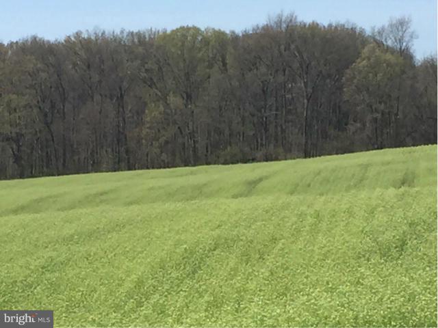 Line Drive White Post, VA 22663 - Photo 6 of 10 Exterior (General)