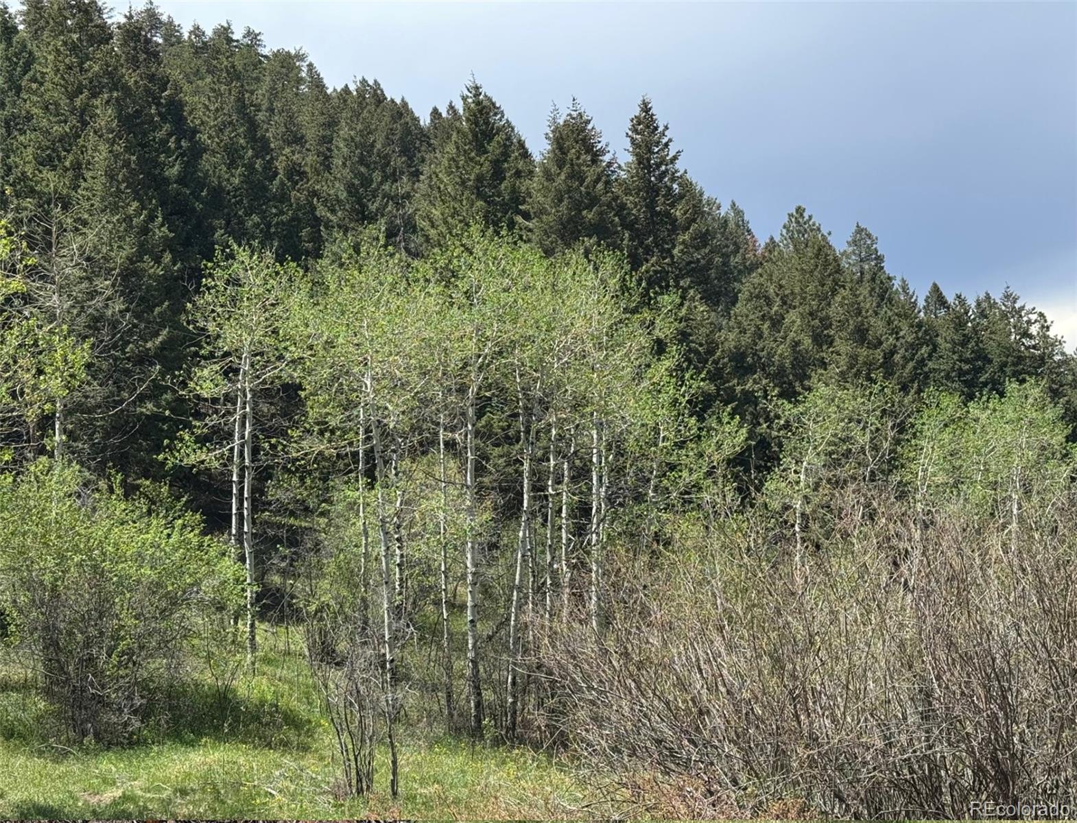 South Maxwell Hill Road Littleton, CO 80127 - Photo 4 of 14