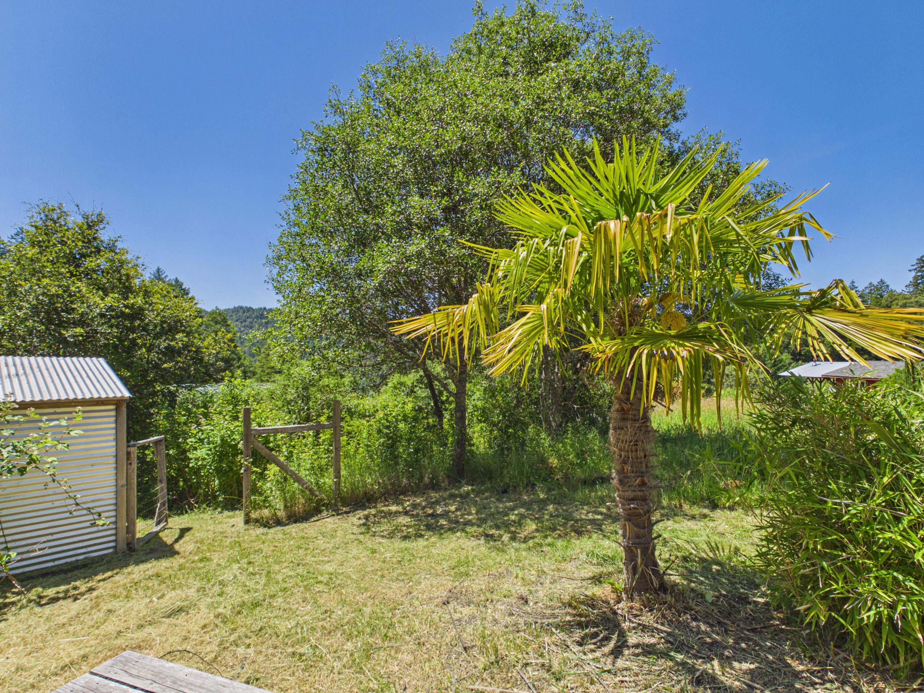 3800 Hansen Ranch Road Garberville, CA 95542 - Photo 46 of 66