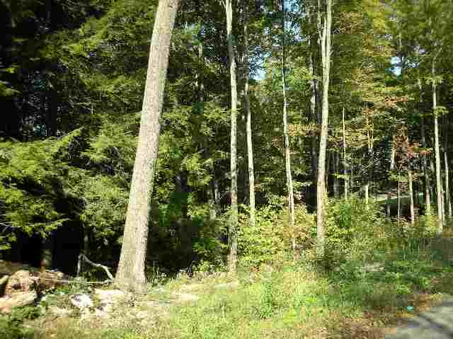 1 Alexander Road Galway, NY 12074 - Photo 4 of 5 Photo 4
