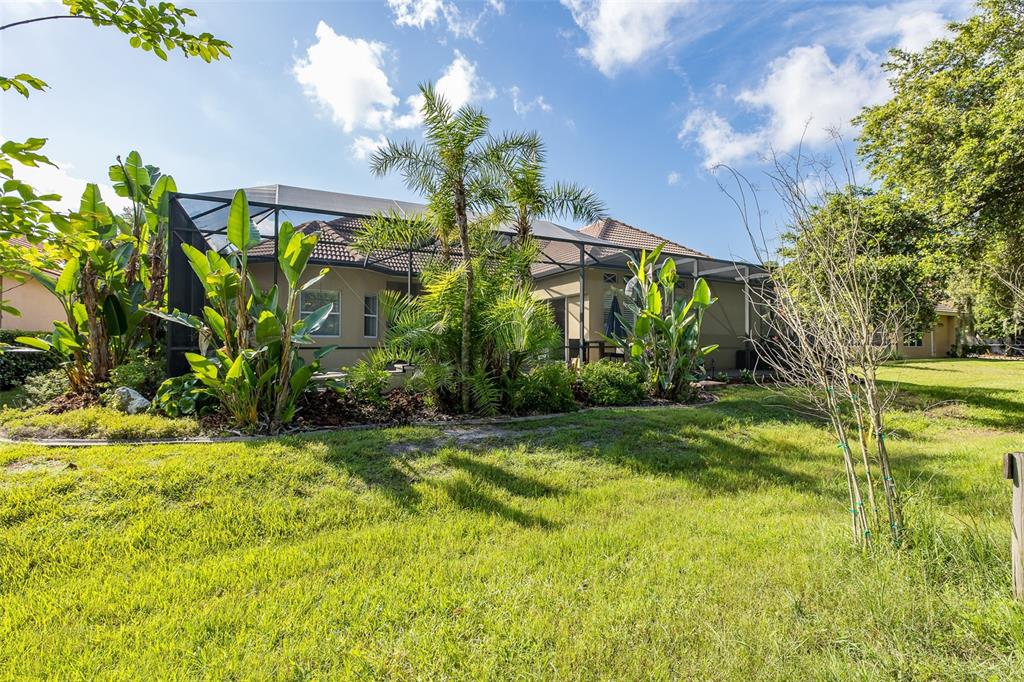 2880 Waters Edge Road Palm Harbor, FL 34685 - Photo 49 of 52