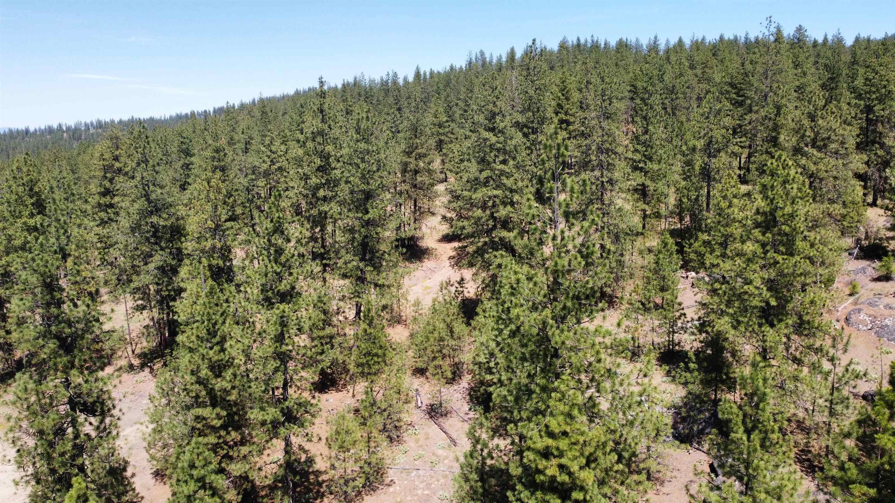 Nna Corkscrew Canyon Road Tumtum, WA 99034 - Photo 38 of 41 Gallery Image 38