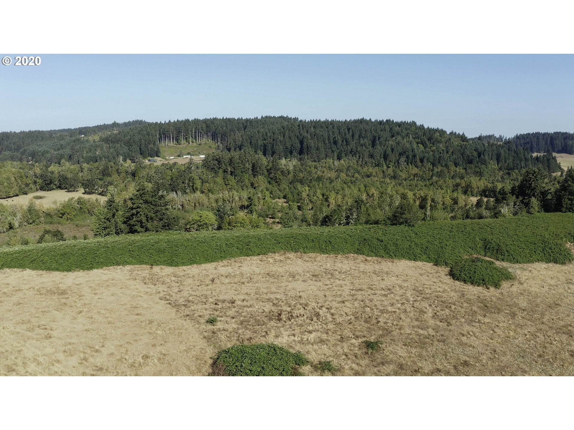 0 Crow Road Eugene, OR 97402 - Photo 11 of 23 Gallery Image 11