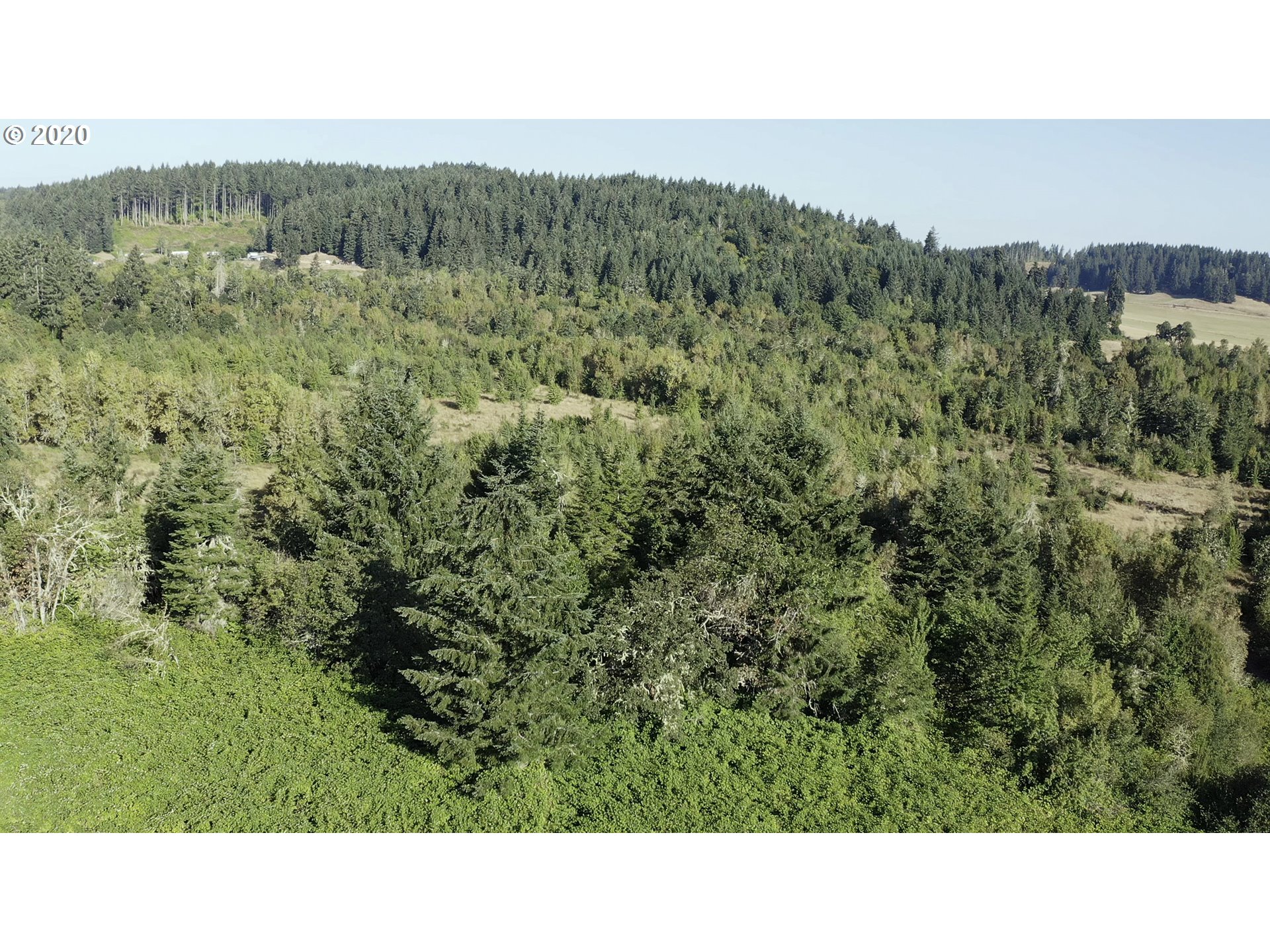 0 Crow Road Eugene, OR 97402 - Photo 10 of 23 Gallery Image 10