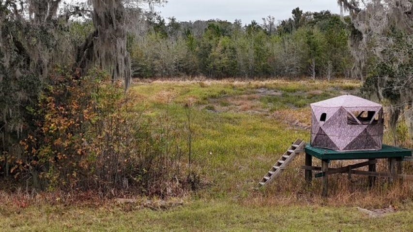 5000 Northwest Little Cat Road Madison, FL 32340 - Photo 11 of 24