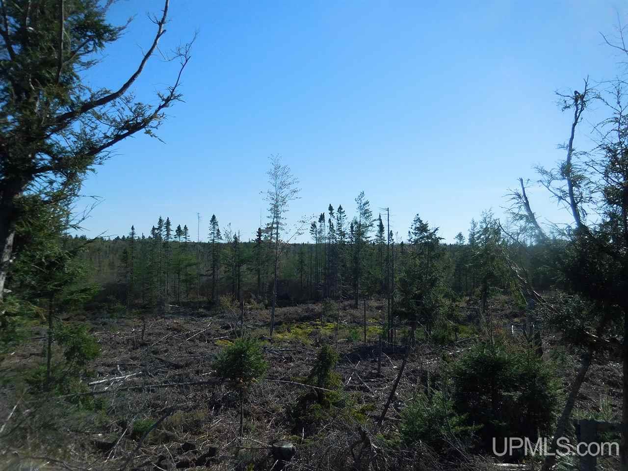 1480 Acres On Co Road Manistique, MI 49854 - Photo 10 of 49