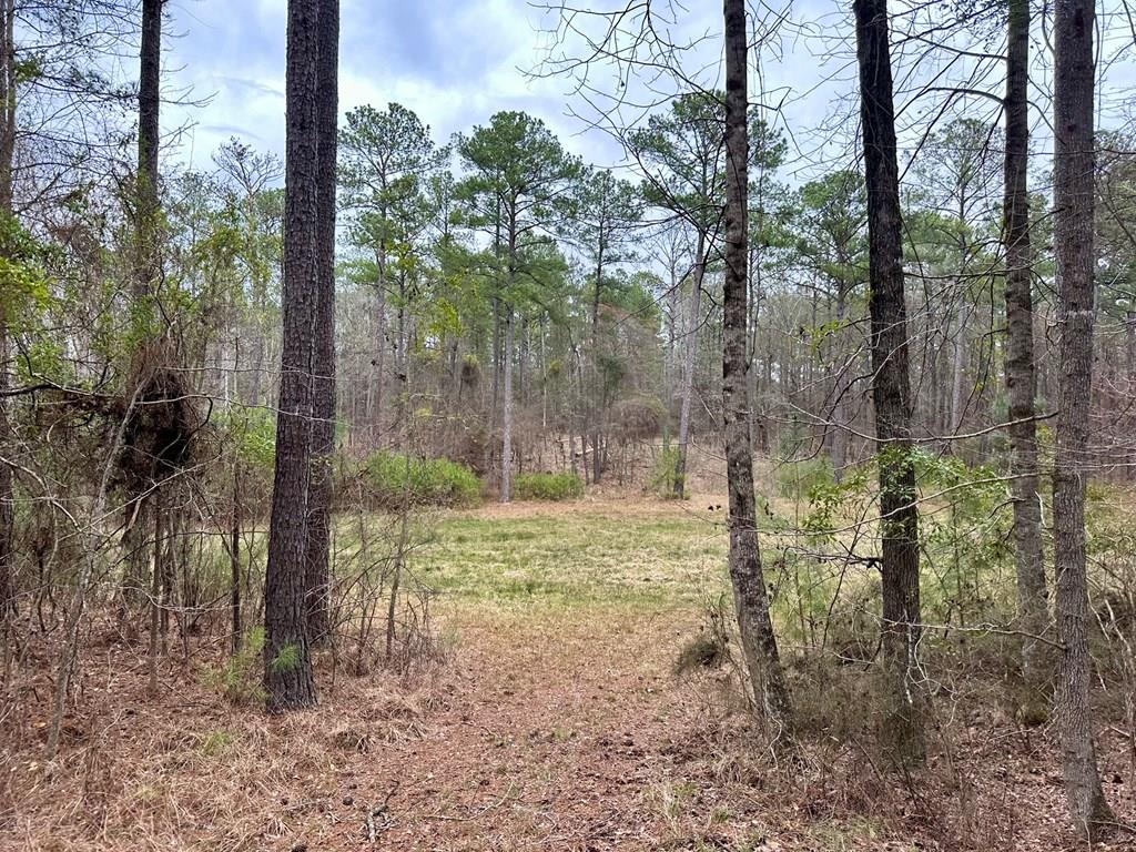 0 Biggers Road Columbus, GA 31904 - Photo 1 of 8 Main View