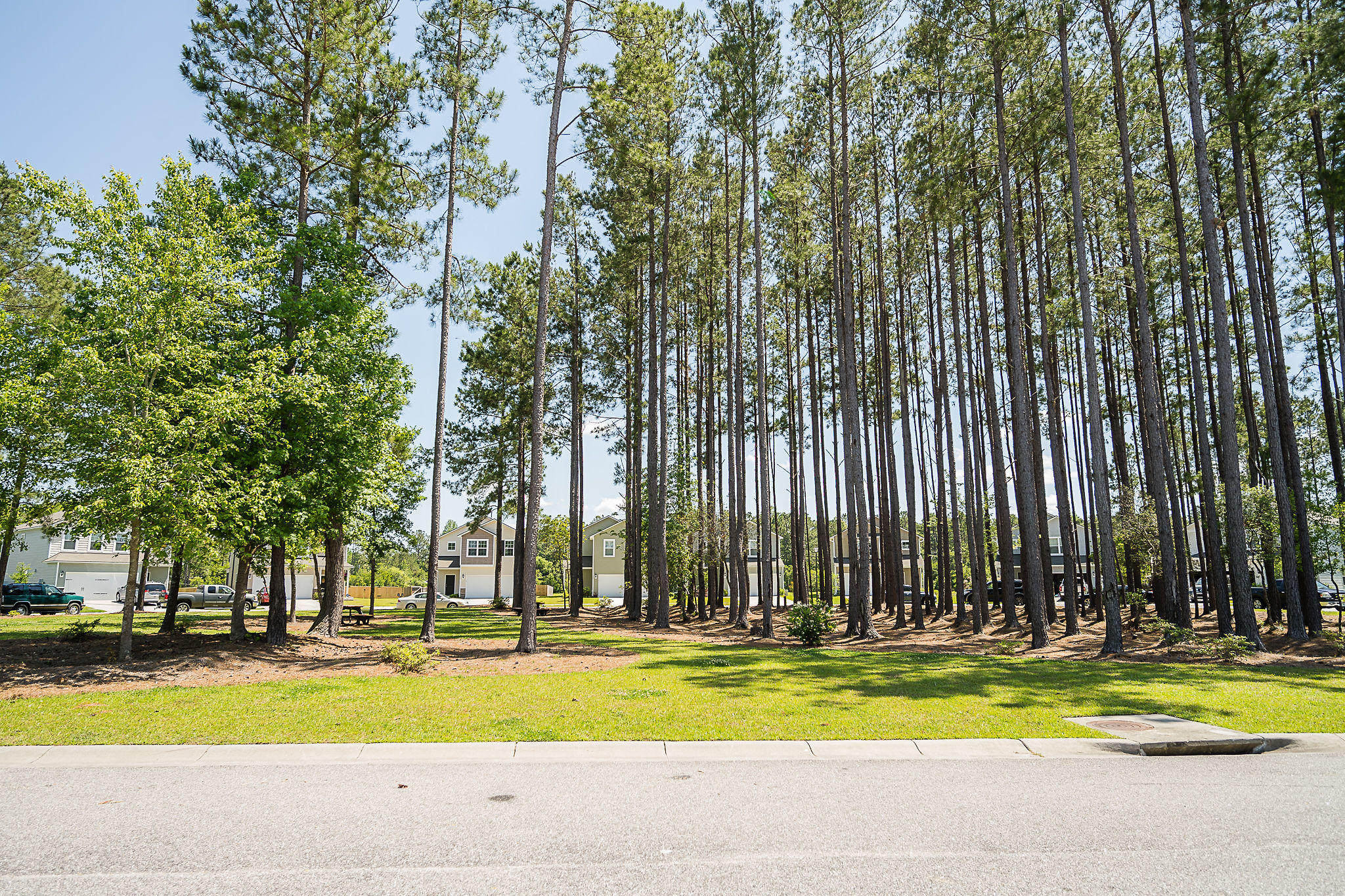 190 Brookhaven Road Summerville, SC 29486 - Photo 5 of 30 Wooded Cul-de-sac