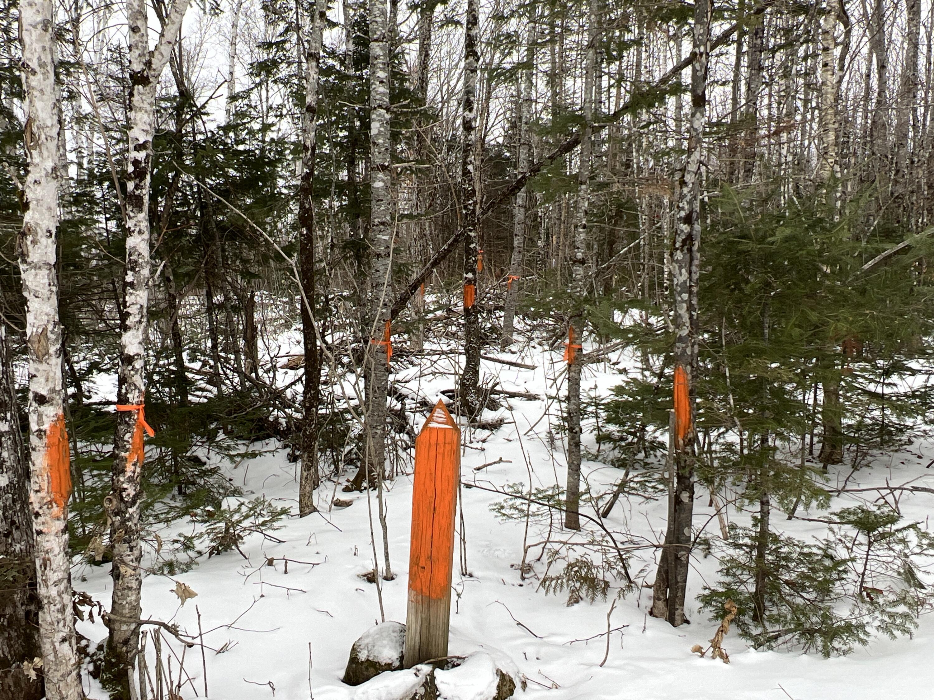 11-012 Monument Road Amity, ME 04471 - Photo 22 of 22 Photo Jan 12 2025, 5 45 05 PM