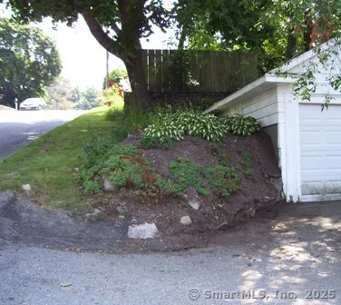 a view of a plants and a yard