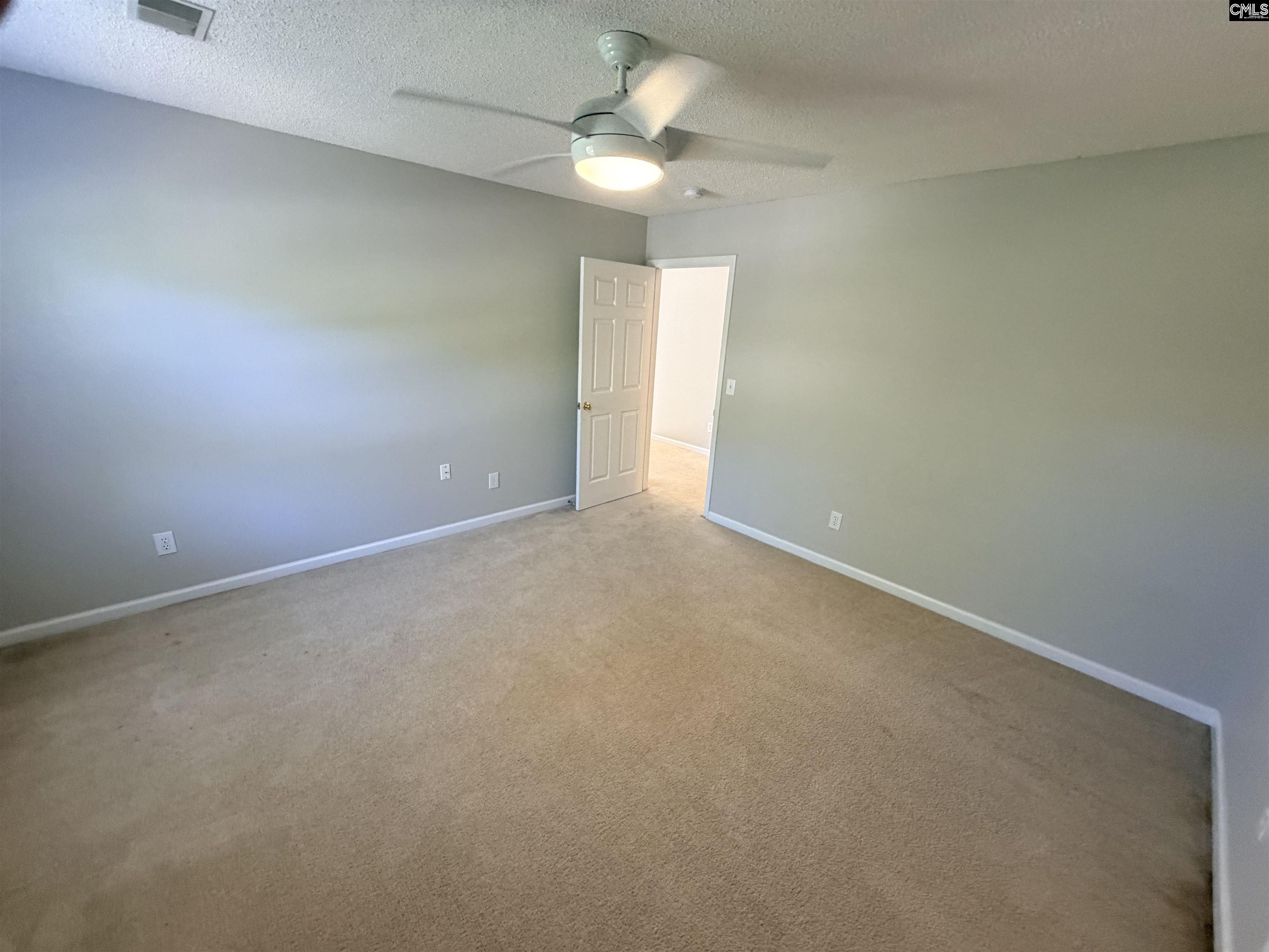 5 Redbrush Court Chapin, SC 29036 - Photo 17 of 36