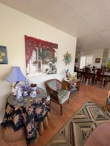 a living room with furniture flowerpot and window