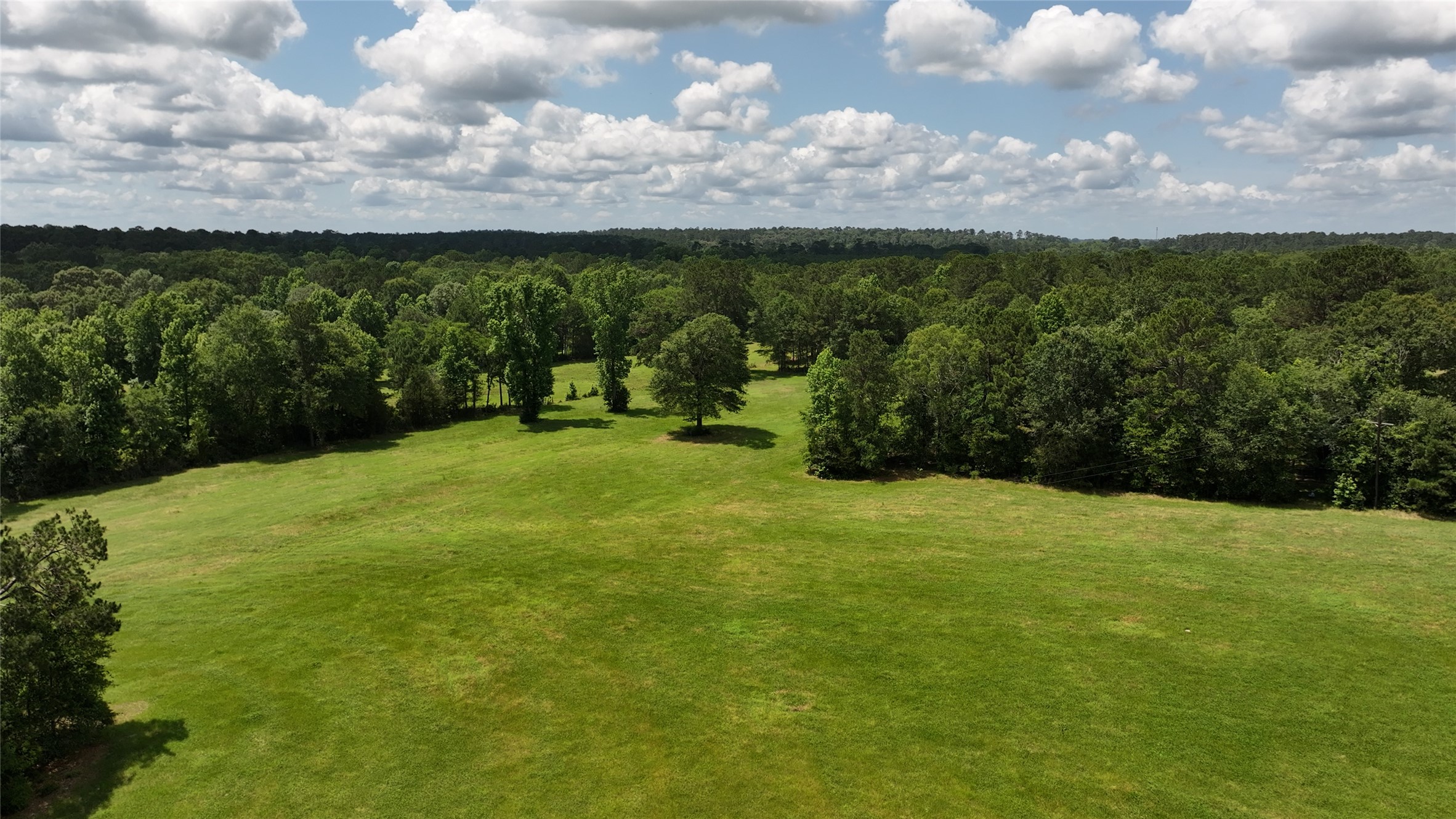 162 Lloyd James Road Groveton, TX 75845 - Photo 9 of 41