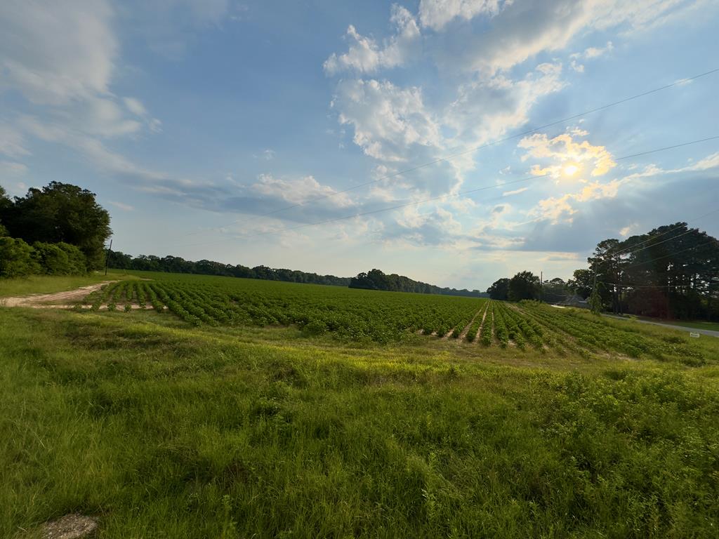 25 & Barrington Road Midland City, AL 36350 - Photo 5 of 21