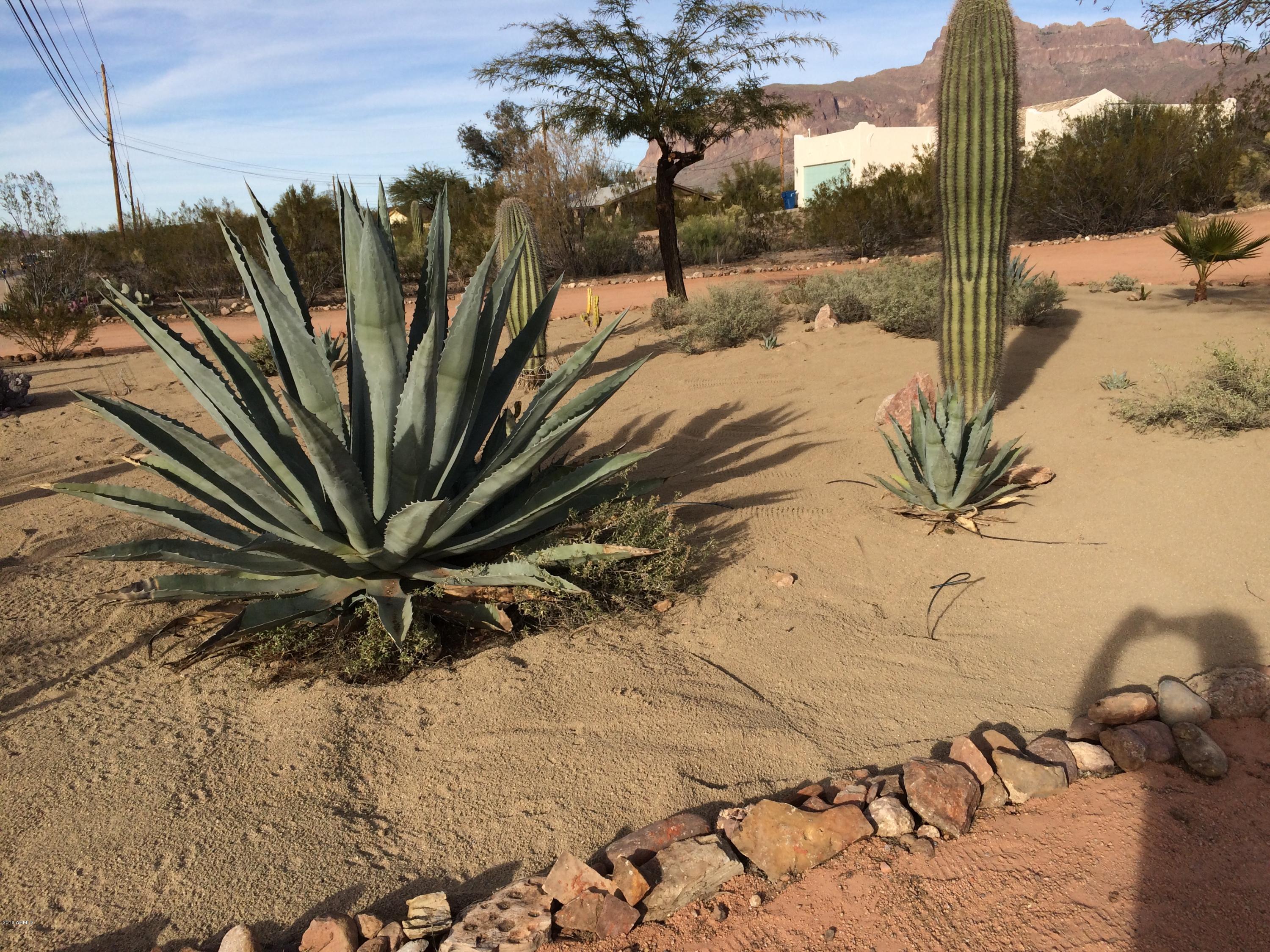 2149 South Mountain View Road Apache Junction, AZ 85119 - Photo 12 of 43 Frontyard 2