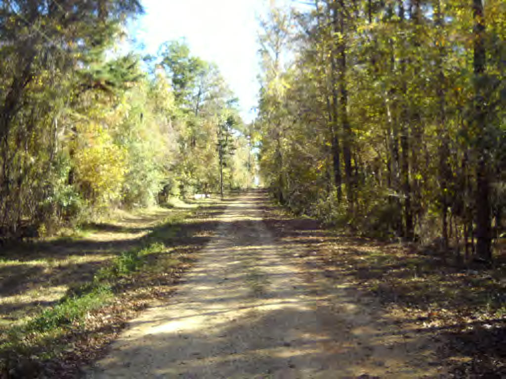 Old Columbia Covington Road Angie, LA 70426 - Photo 4 of 16 Additional View 3
