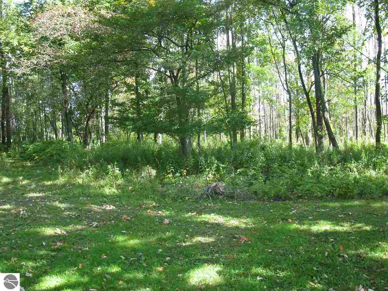 3921 East Twining Road Turner, MI 48765 - Photo 7 of 22 1790870-6.JPG
