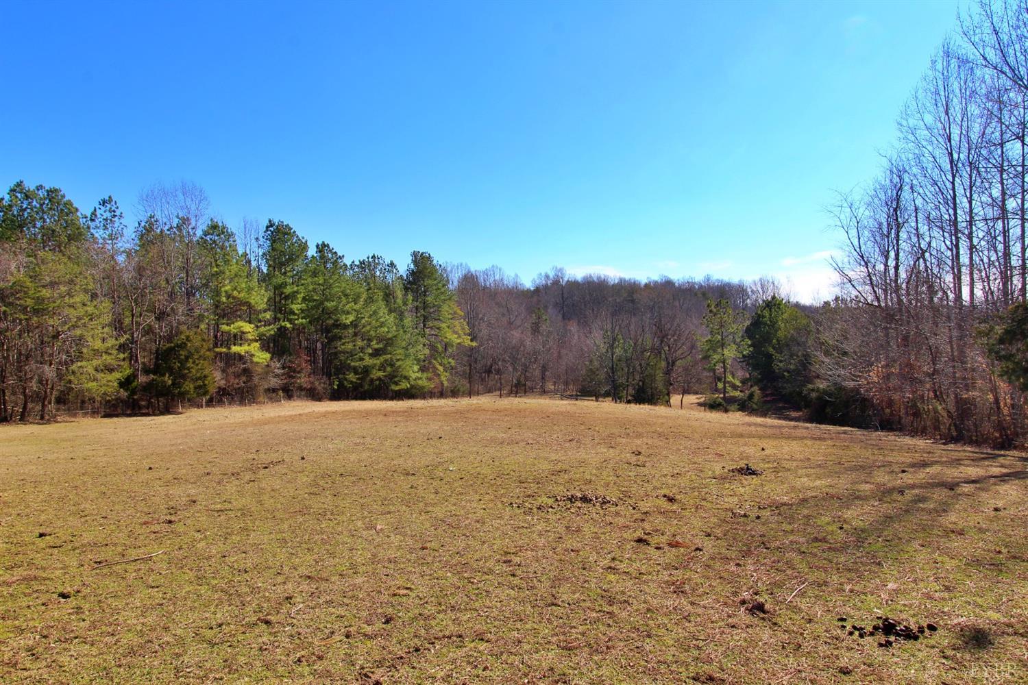 3980 Piney Mountain Rd Road Appomattox, VA 24522 - Photo 39 of 42 Gallery Image 39