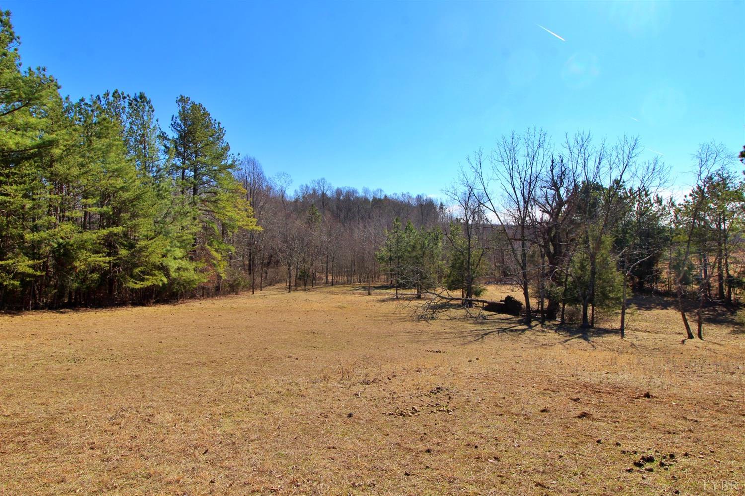 3980 Piney Mountain Rd Road Appomattox, VA 24522 - Photo 41 of 42 Gallery Image 41