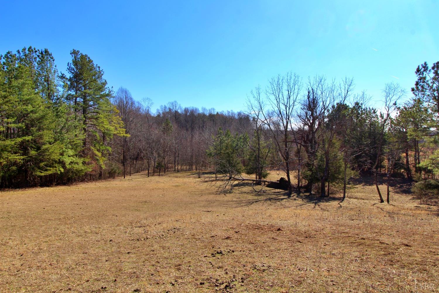 3980 Piney Mountain Rd Road Appomattox, VA 24522 - Photo 8 of 42 Gallery Image 8
