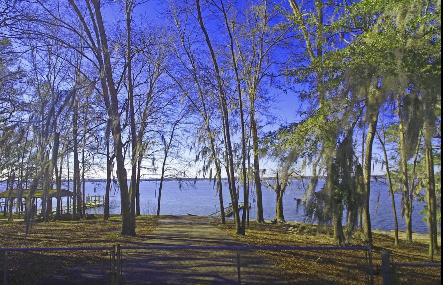 2395 Princess Pond Road Summerton, SC 29148 - Photo 41 of 41 IMG_4914