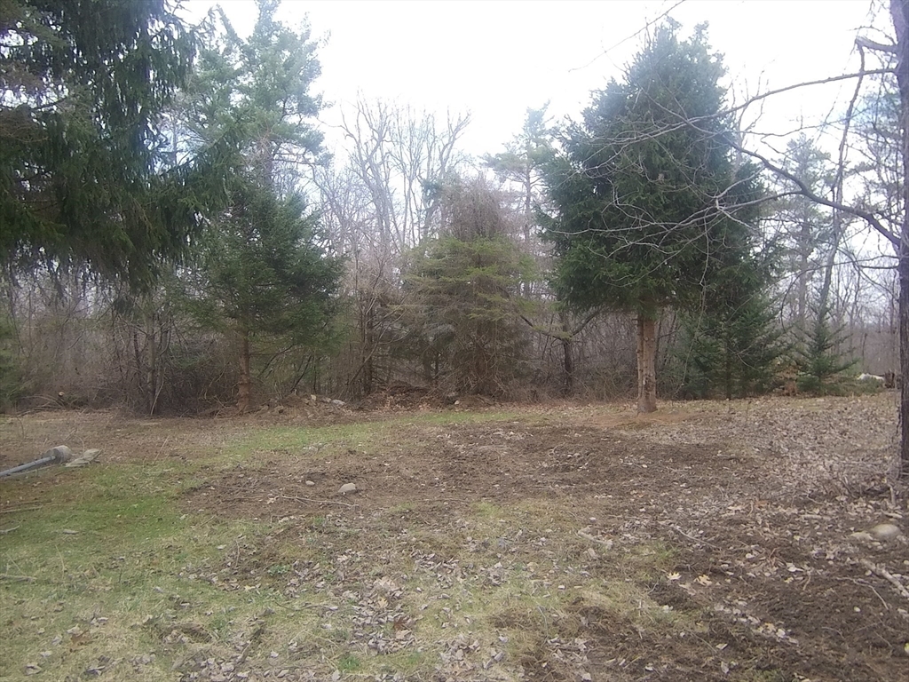 215 Ward Hill Road Phillipston, MA 01331 - Photo 6 of 6