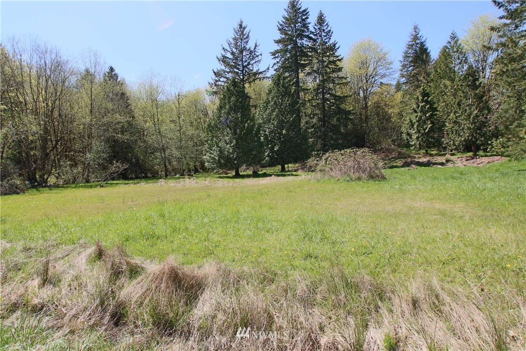 0 Northeast Libby Road Olympia, WA 98506 - Photo 2 of 3 Gallery Image 2
