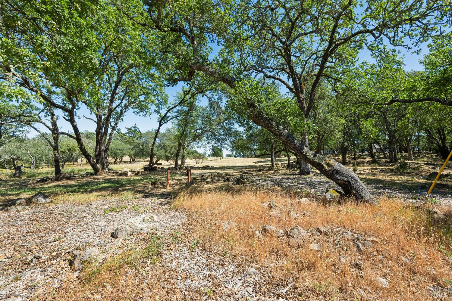 4665 Upper Ridge Road Santa Rosa, CA 95404 - Photo 49 of 71 a view of yard with trees