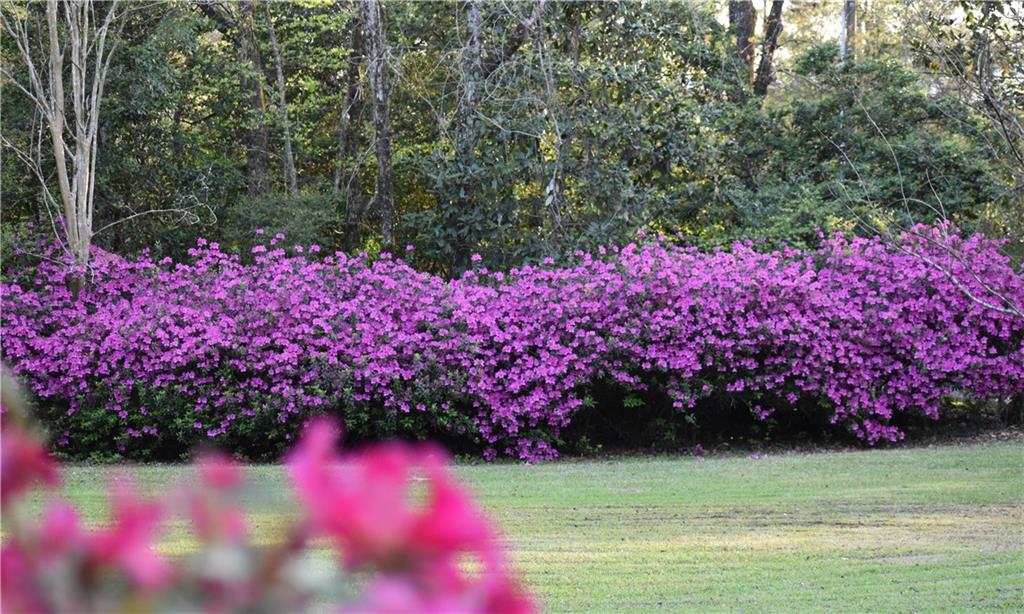 74724 River Road Covington, LA 70435 - Photo 6 of 45